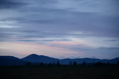 DSC_1123 (Large).JPG